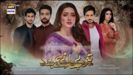 Teray Janay Kay Baad - Episode 64 - 25th October 2024